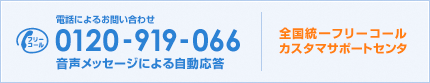 �t���[�R�[��0120-919-066