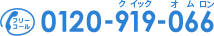 0120-919-066
