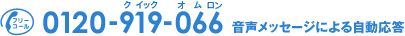 �t���[�R�[��:0120-919-066�@�������b�Z�[�W�ɂ�鎩������