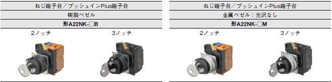 A22NK 形式/種類 1 