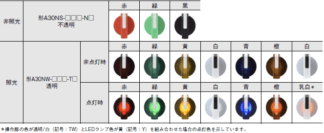 A30NS / A30NW 形式/種類 1 