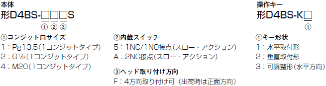 D4BS 形式/種類 2 