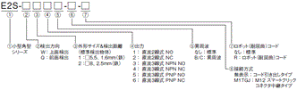 E2S 形式/種類 10 