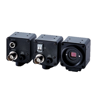 TVフォーマットモデル