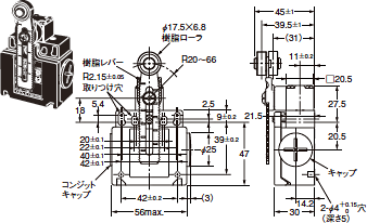 D4N 外形寸法 43 