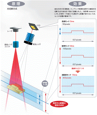 ZG 特長 36 