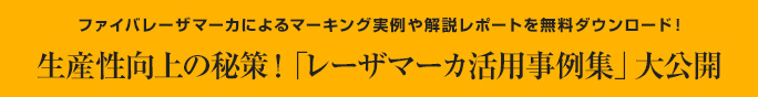生産性向上の秘策！「レーザマーカ活用事例集」大公開