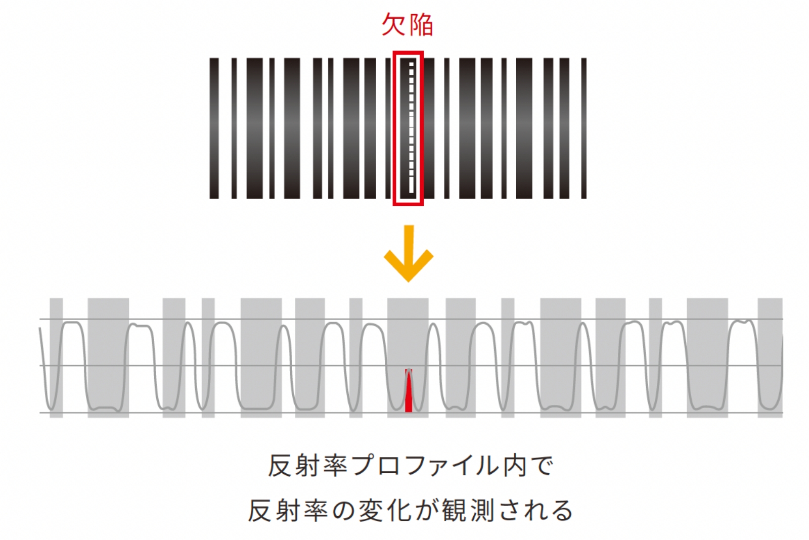 検証の原理
