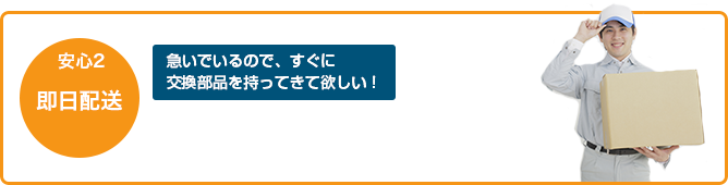安心2 即日配送